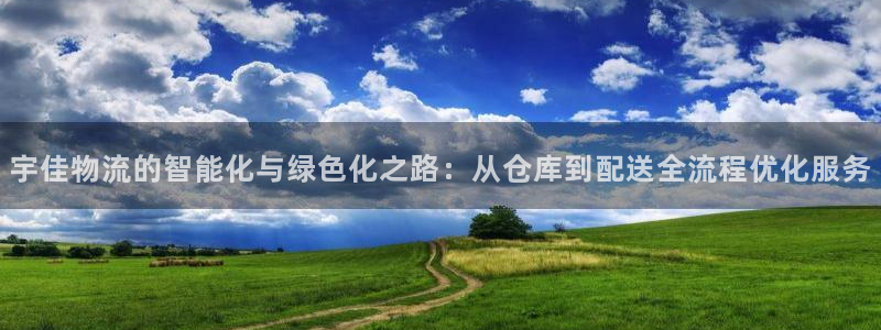 多多28退款：宇佳物流的智能化与绿色