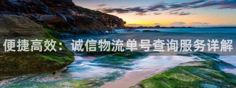 多多28软件是什么：便捷高效：诚信物
