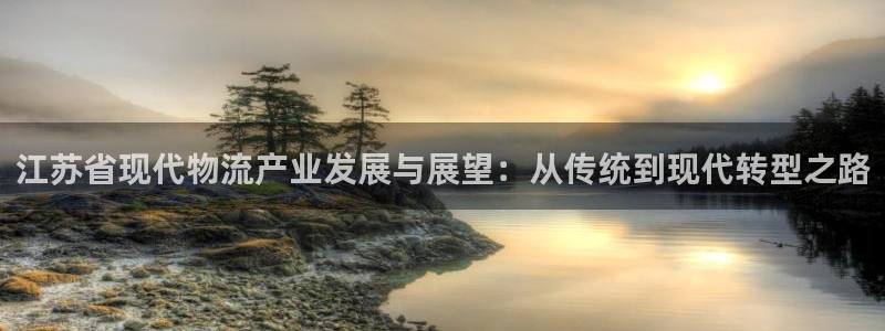 多多28怎么注册：江苏省现代物流产业
