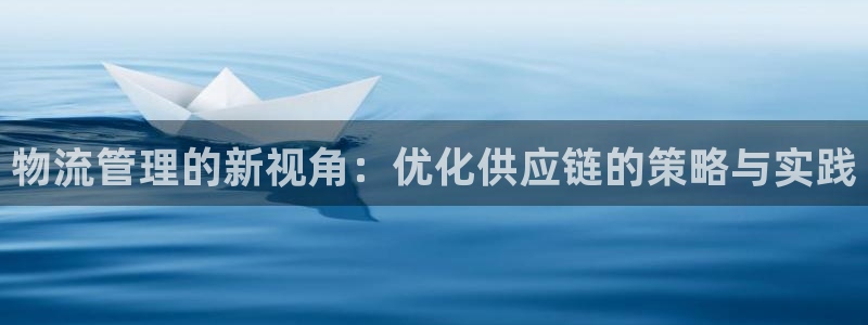多多28连接：物流管理的新视角：优化
