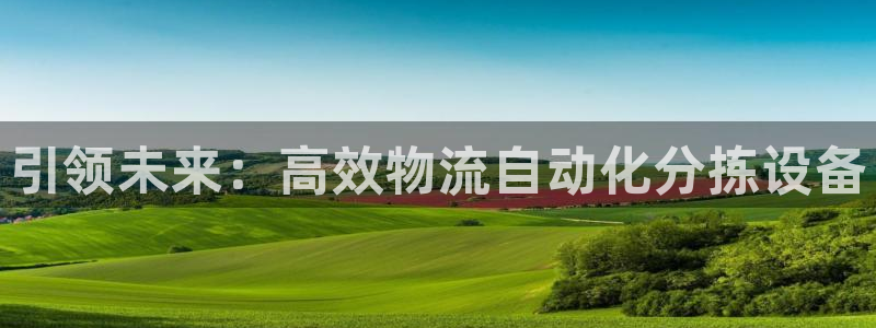 多多28注册链接：引领未来：高效物流