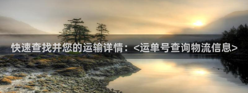多多28体育下载：快速查找并您的运输