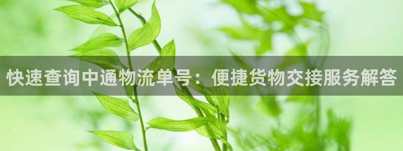 多多28p图上分下款通道：快速查询中