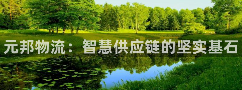 多多28app能退款吗：元邦物流：智