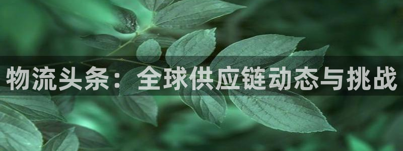 多多28官网下载多少钱：物流头条：全球供应链动态与挑战