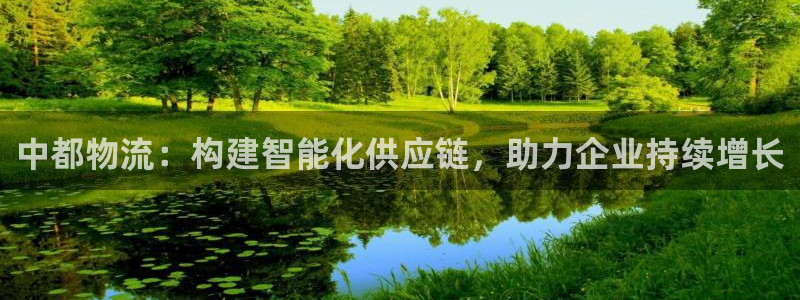 多多28官网下载加拿大：中都物流：构建智能化供应链，助力企业