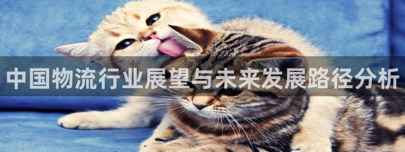 多多28是正规平台吗：中国物流行业展
