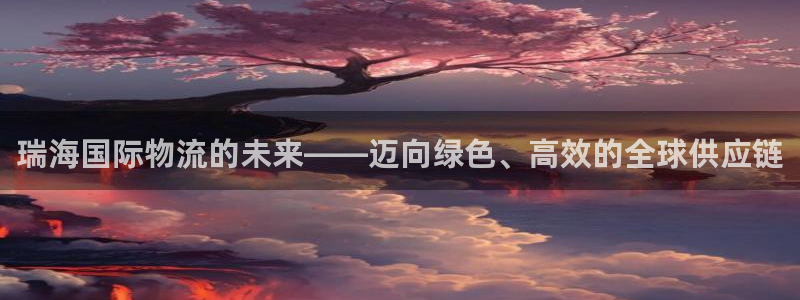 多多28平台注册：瑞海国际物流的未来