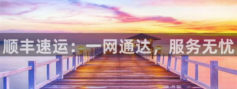 加拿大多多28数字规则：顺丰速运：一网通达，服务无忧
