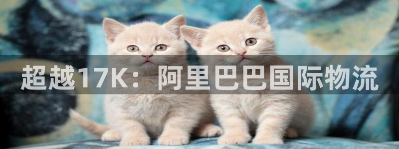 多多28注册登录链接：超越17K：阿
