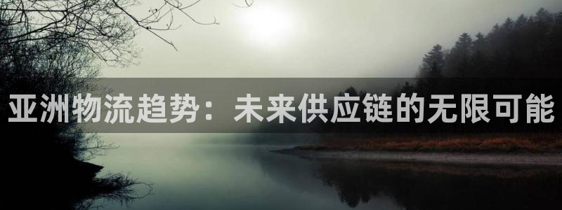多多28忘记账号：亚洲物流趋势：未来