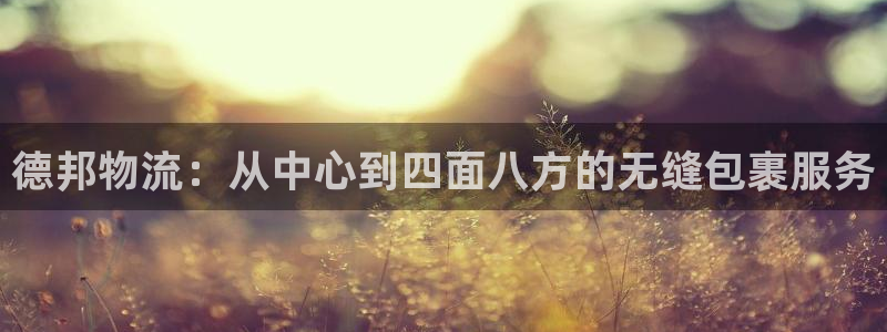 多多28网站怎么注册：德邦物流：从中