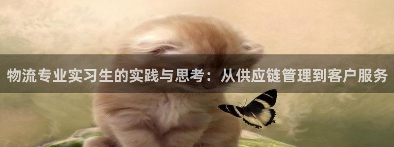 多多28官网多少：物流专业实习生的实