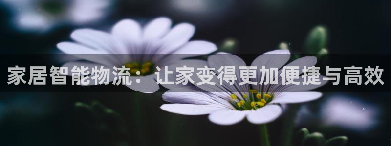 多多28客服电话