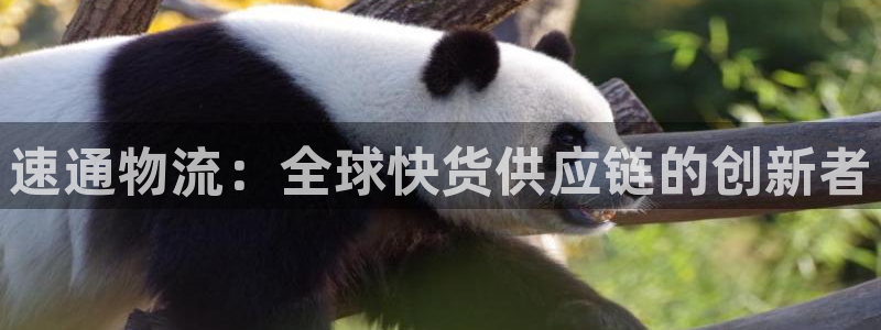 多多28加拿大是什么意思