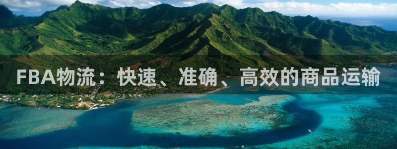 多多28客服一直不回消息怎么办：FBA物流：快速、准确、高效