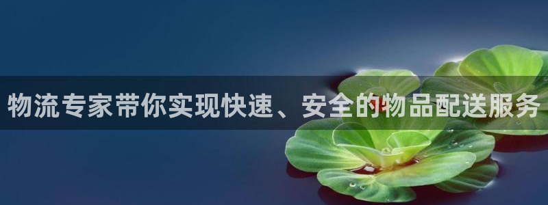 多多28预测加拿大：物流专家带你实现快速、安全的物品配送服务
