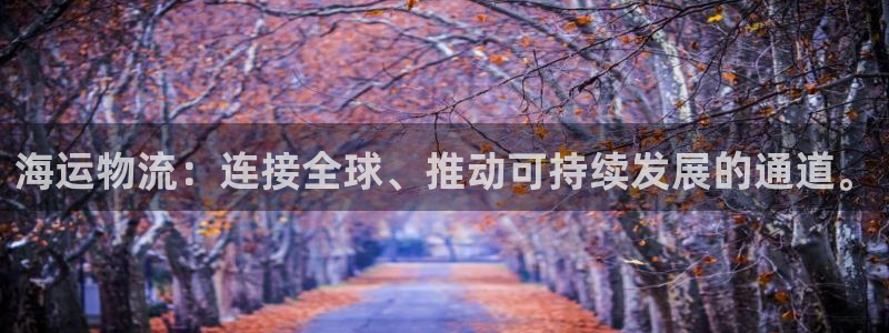 多多28软件：海运物流：连接全球、推