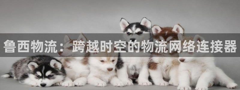 多多28最稳打法:鲁西物流:跨越时空