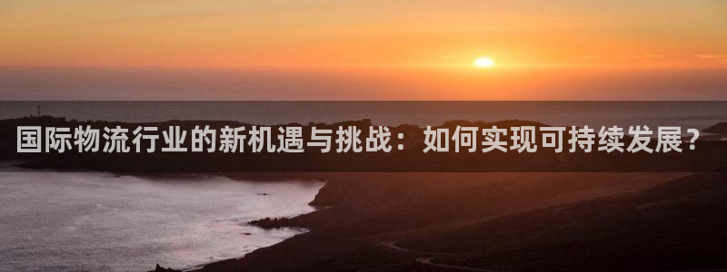 多多28怎么申请代理：国际物流行业的