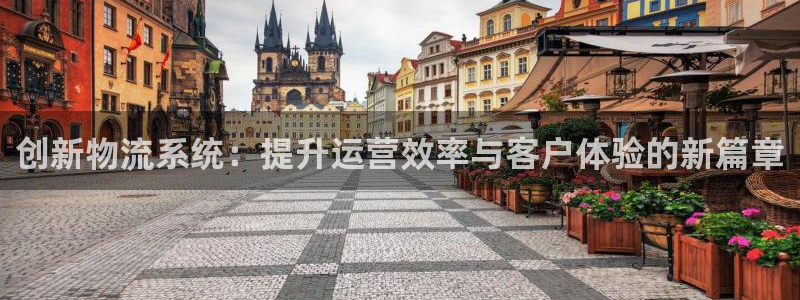 多多28注册官网：创新物流系统：提升运营效率与客户体验的新篇