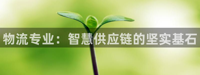 多多28pg麻将胡了2老是空转:物流