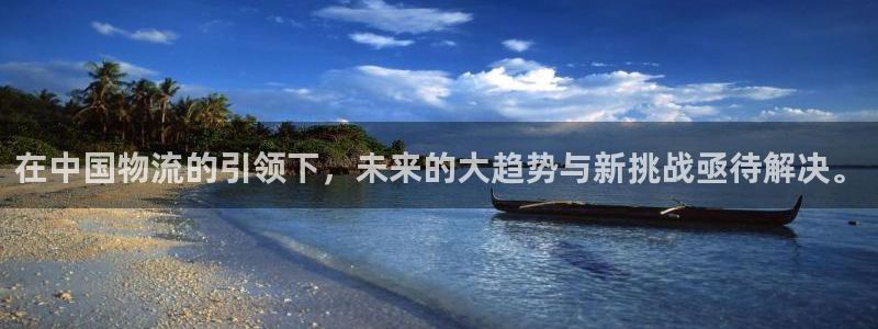 多多28是正规软件吗：在中国物流的引领下，未来的大趋势与新挑