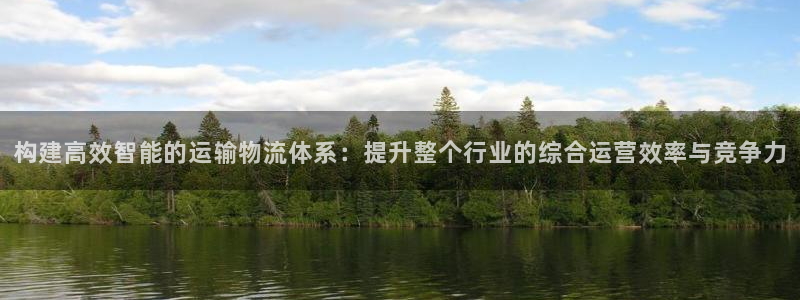 多多28登录网：构建高效智能的运输物流体系：提升整个行业的综