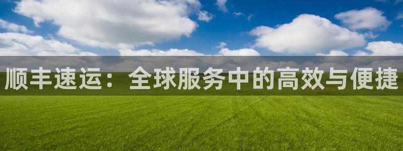 多多28官网平台下载：顺丰速运：全球服务中的高效与便捷