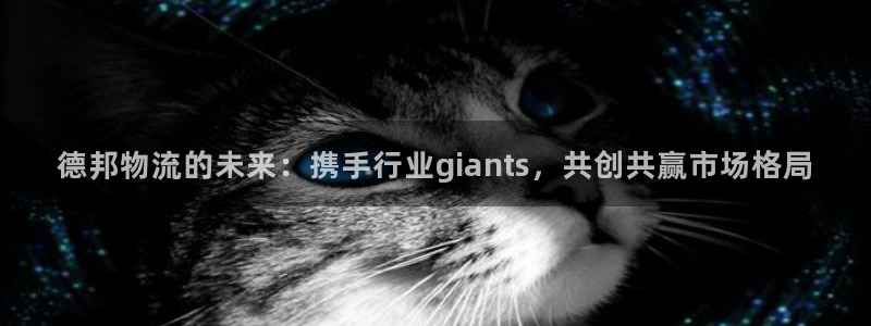 多多28登录不上咋回事