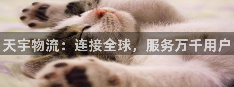 多多28平台注册：天宇物流：连接全球，服务万千用户