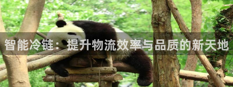 多多28怎么注册