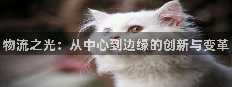 多多28客服一直不回消息怎么办