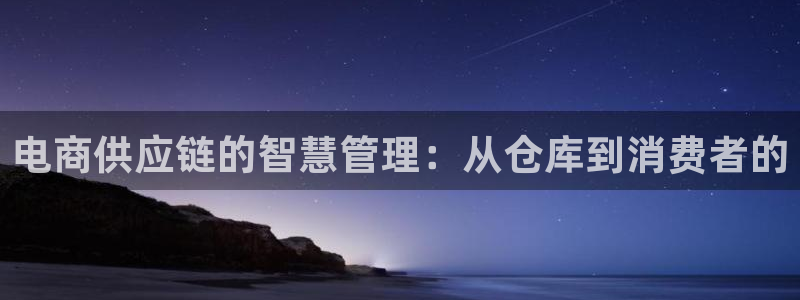 多多28退款：电商供应链的智慧管理：从仓库到消费者的