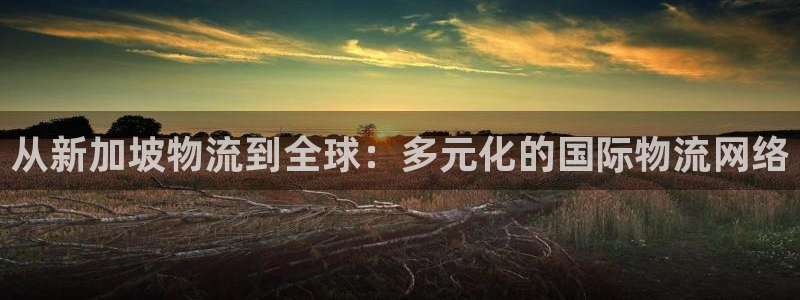 多多28为什么没有赢过一次：从新加坡