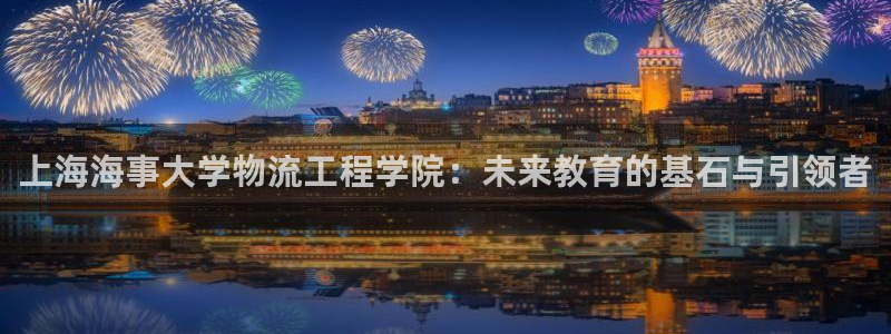 多多28官网入口官网：上海海事大学物