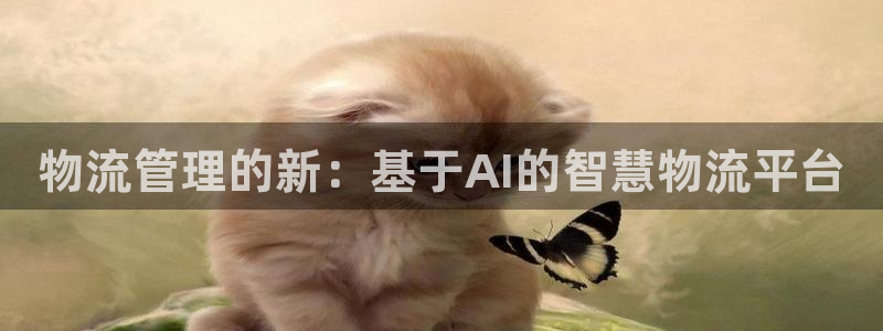 多多28加拿大最新版：物流管理的新：