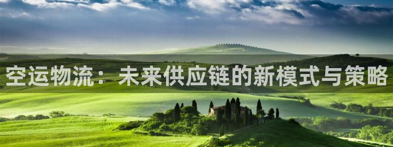 多多28官网入口pcios：空运物流