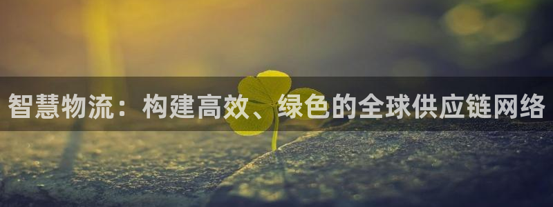 多多28预测：智慧物流：构建高效、绿