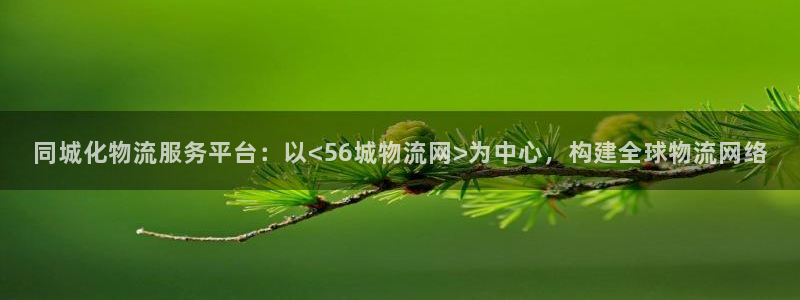 多多28加拿大6.0