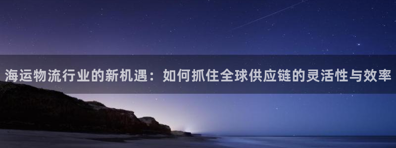 多多28黑钱：海运物流行业的新机遇：如何抓住全球供应链的灵活