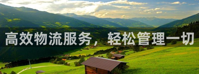 多多28怎么下载不了