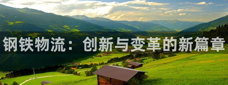 多多28官方官网：钢铁物流：创新与变革的新篇章