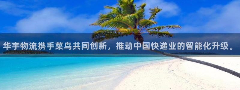 多多28官网下载链接怎么弄：华宇物流携手菜鸟共同创新，推动中