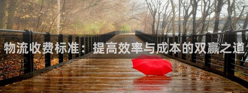 多多28免费：物流收费标准：提高效率与成本的双赢之道